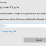 fido_git_06_win_pin.png