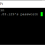 ssh_password_login.png